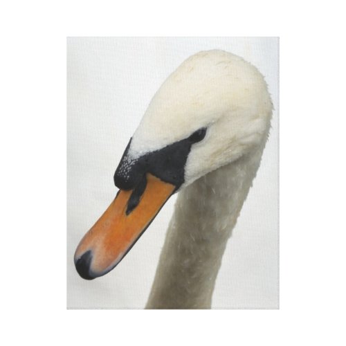 White Macro Swan Portrait Gallery Wrapped Canvas