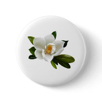 white magnolia bloom pinback button
