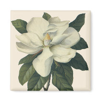 White Magnolia Blossom Fridge Magnet