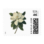 White Magnolia Blossom Postage Stamps