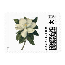 White Magnolia Blossom Postage Stamps