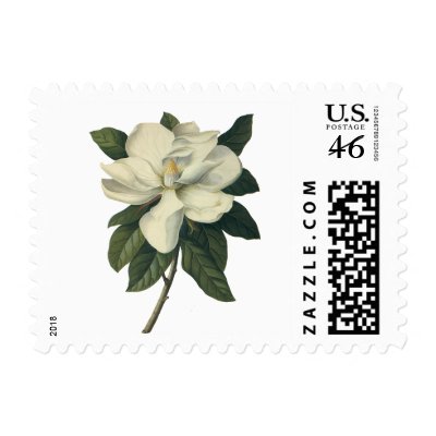 White Magnolia Blossom Postage Stamps