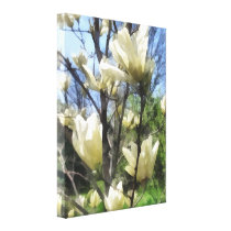White Magnolia Branches canvas prints