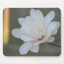 White Magnolia Centennial  Bloom mousepads