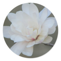 White Magnolia Centennial Bloom stickers