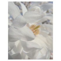 White Magnolia Flower Letterhead Designer Blue Sky