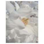 White Magnolia Flower Letterhead Designer Blue Sky