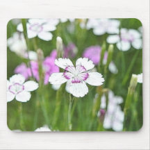White Maiden Pinks Mouse Pad