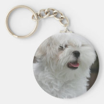 White Maltese Puppy Keychain