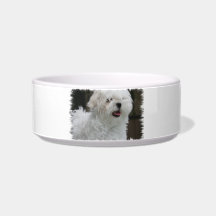 White Maltese Puppy Pet Bowl