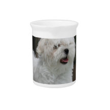 White Maltese Puppy Pitcher