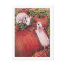 White Mice Postcard
