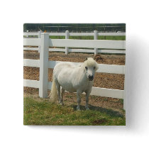 White miniature horse magnet buttons by ritmoboxer White miniature horse magnet buttons