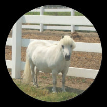 White miniature horse stickers stickers