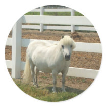 White miniature horse stickers by ritmoboxer White miniature horse stickers