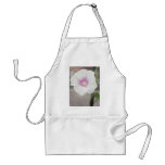 White Morning Glory - Love Eternal White Morning Glory - Love Eternal