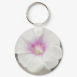 White Morning Glory - Love Eternal White Morning Glory - Love Eternal