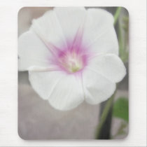 White Morning Glory - Love Eternal mousepads by LivingNature White Morning Glory - Love Eternal mousepads