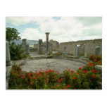 White Morocco, Roman ruin flowers Post Card