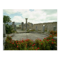White Morocco, Roman ruin flowers postcards