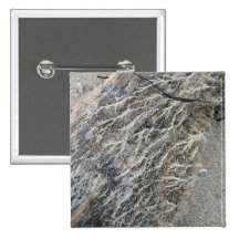White Moss on Driftwood Buttons