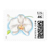White Moth Cymbidium Orchid Stamps
