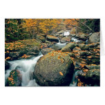 White Mountain Autumn Greeting Card