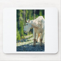 White Mountain Goat mousepads