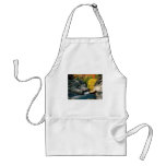 White Mountain National Forest, NH aprons