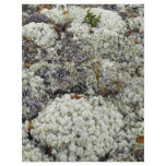 White Mountains National Recreation Area, Lichen flyers