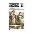 postcard - MULE DAYS IN COLUMBIA TN postcard - MULE DAYS IN COLUMBIA TN