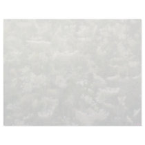 white Multi-exposure of Queen Anne's lace flowers Letterhead Design