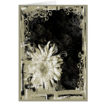White Mum cards by StarStock White Mum cards