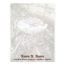 White Mushroom Coordinating Items Letterhead