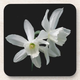 White Narcissus Drink Coaster