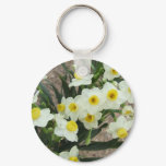 white narcissus flower, 'white, flower,
