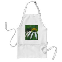 White narrow-leaved Coneflower Apron