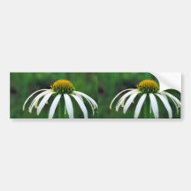 White narrow-leaved Coneflower Bumper Sticker