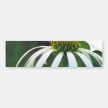 White narrow-leaved Coneflower Bumper Stickers