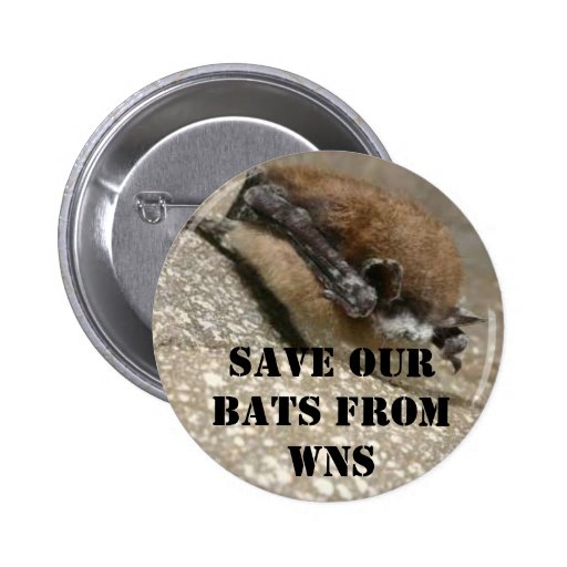 White Nose Syndrome Button