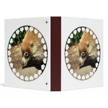 White Nosed Coati Binder