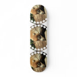 White Nosed Coati Skateboard
