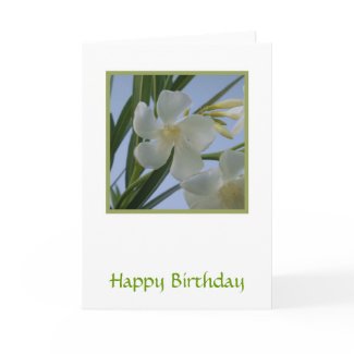 White Oleander Flower Card card