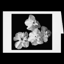 White on Black cards