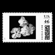 white on black postage
