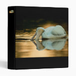 White on Gold Binder