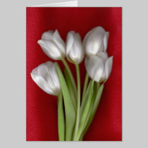 White on Red cards