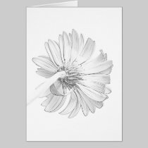 White on White II cards