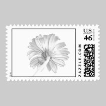 White on White Postage Stamp stamps
