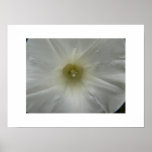White on White-Print